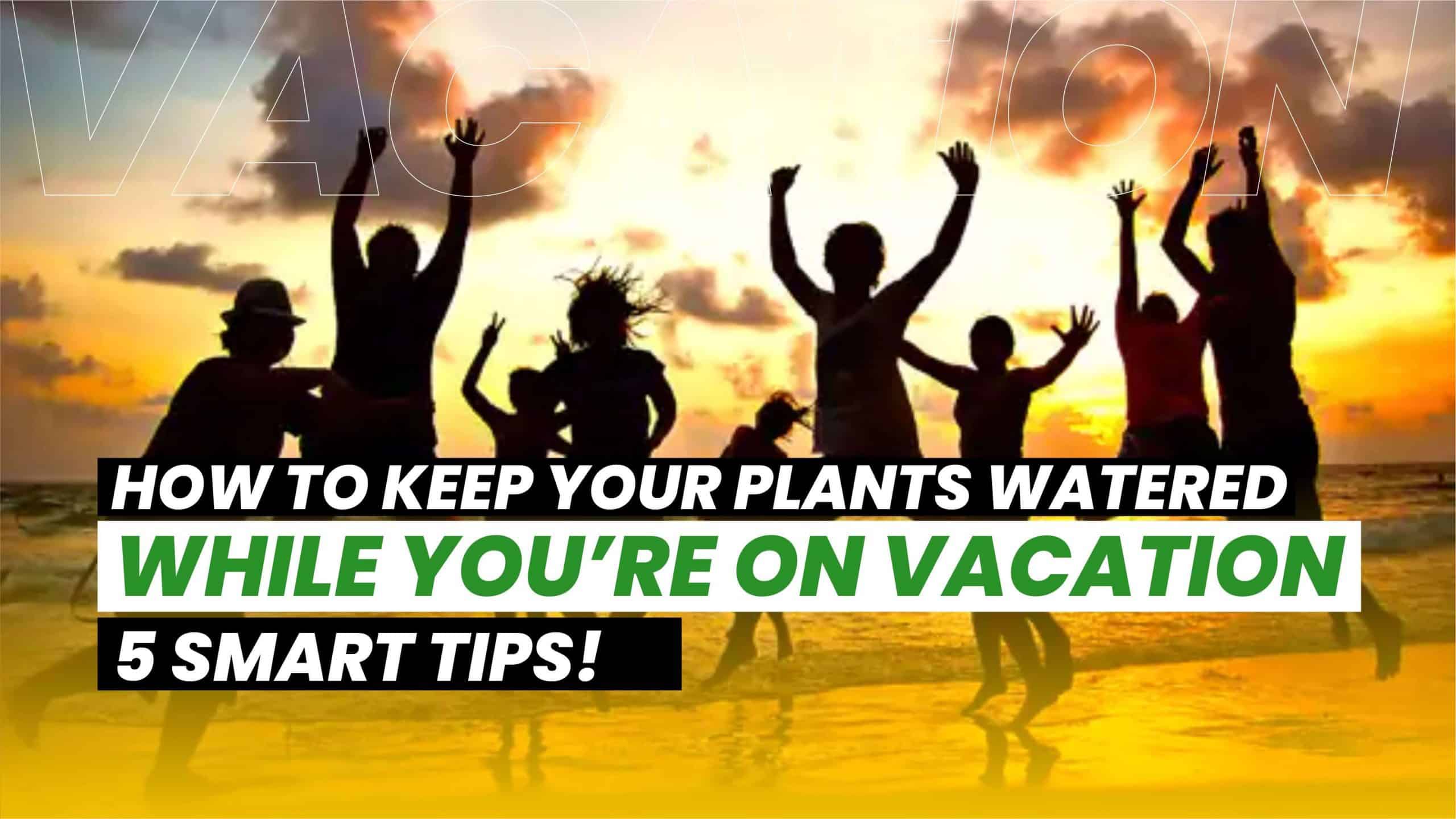 Keep Your Plants Watered While You’re On Vacation