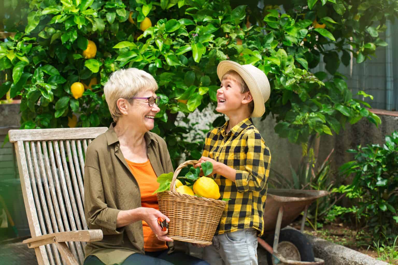 senior-farmer-woman-with-boy-harvesting-lemons Grow Citrus Trees Indoors