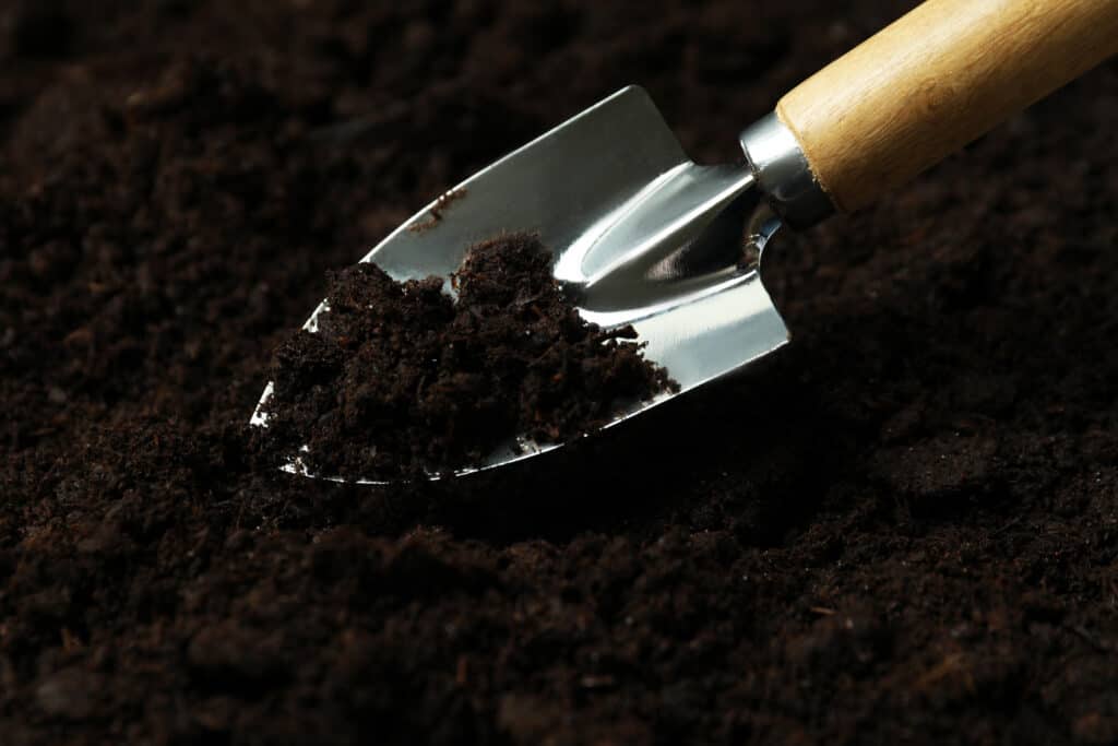 Grow- Indoor- Citrus-shovel-for-gardening.