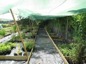 Shade_house. The Best Ways For Maintaining Plants