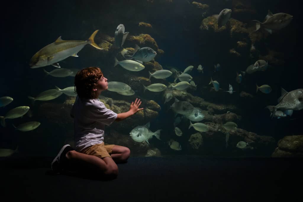 Science and Discovery At A Underwater Zoo