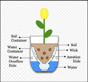 Illustration-Sub-Irrigated-Planter-Keep-Plants-Alive