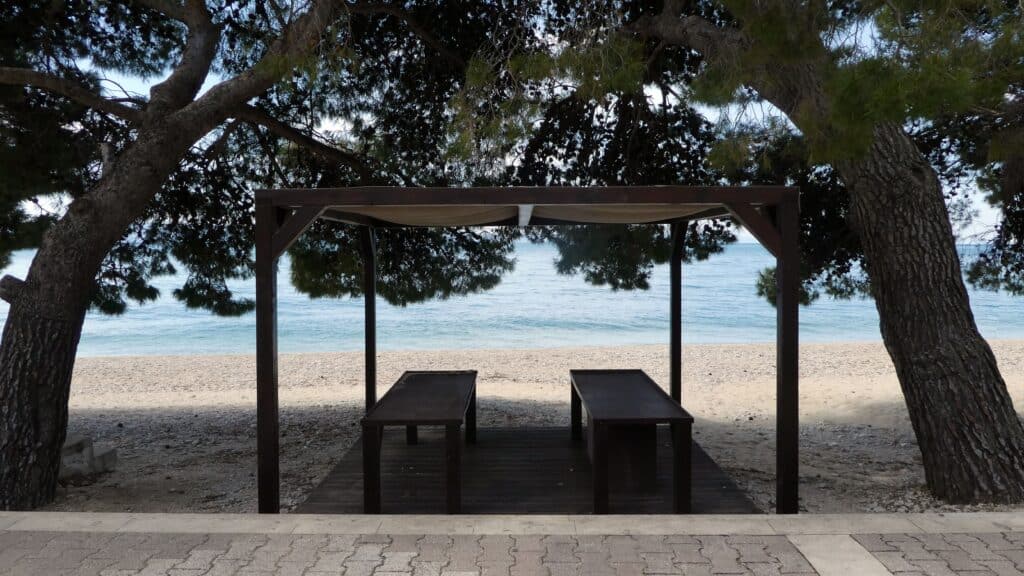 Outdoor seating area under trees in the shade at the beach with water view