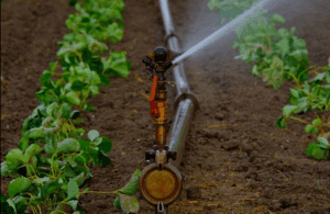 Agricultural Sprinklers - Farm water