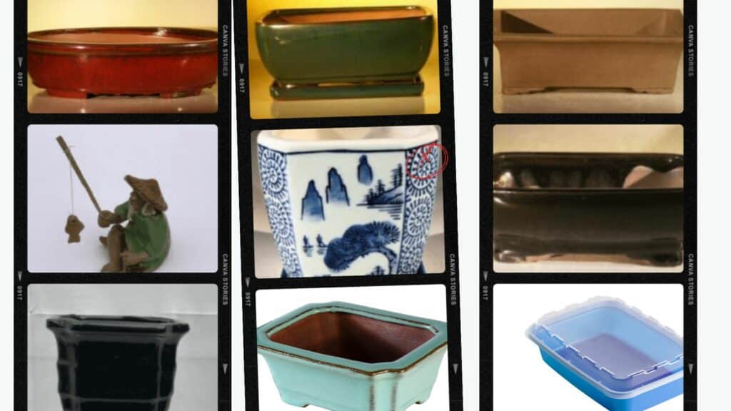 Bonsai Container Montage