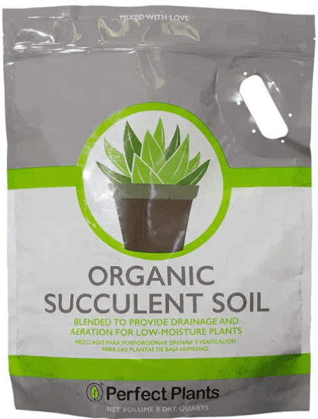 Cactus & Succulent Soil Best Soil For Succulents Cactus & Succulent Soil Best Soil For Succulents