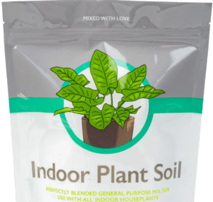 Indoor Plant Soil