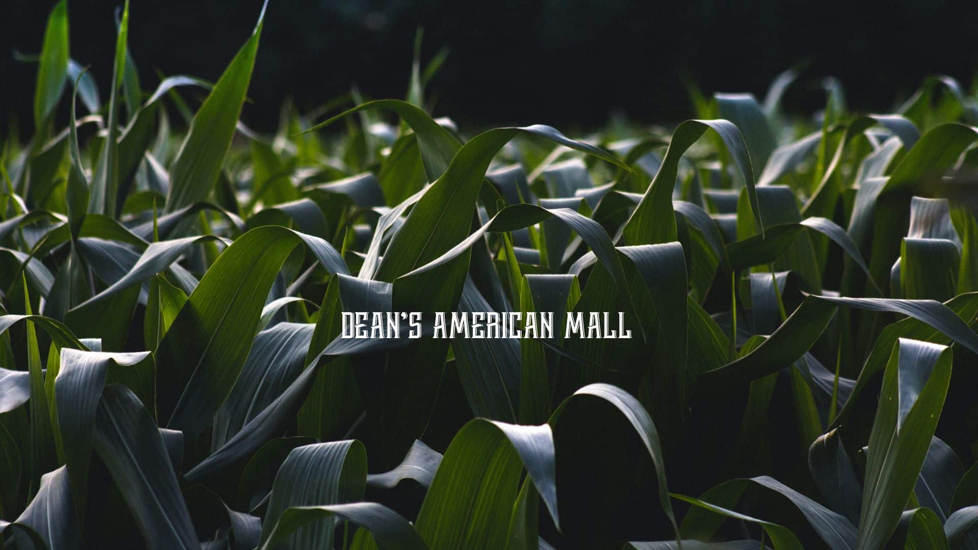 Deans American Mall Large