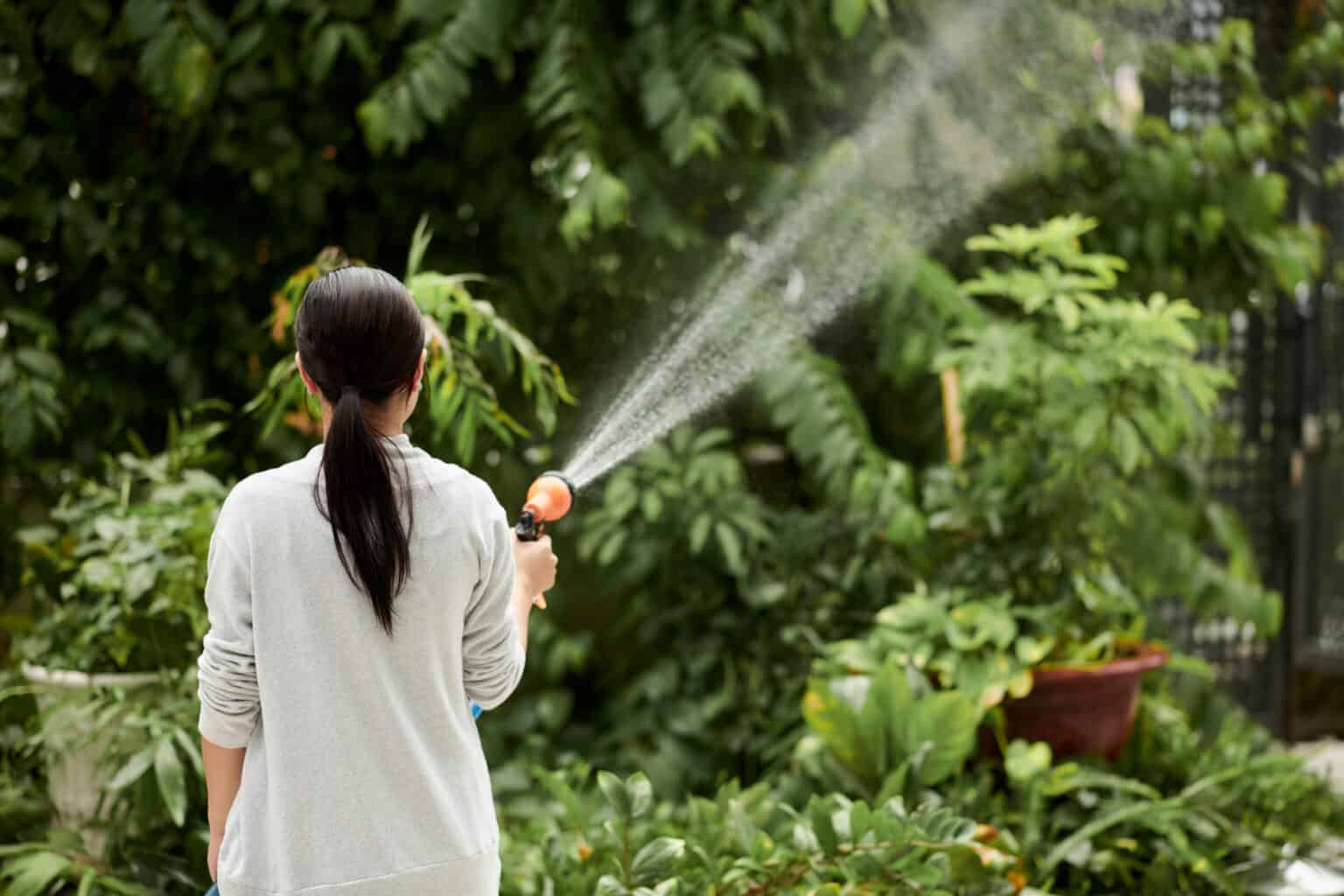 Woman watering plants and trees in garden , view from back