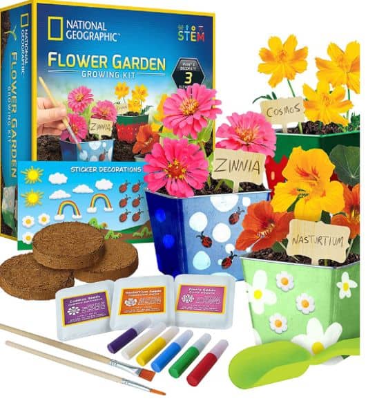 Flower Garden Fat Brain Toys