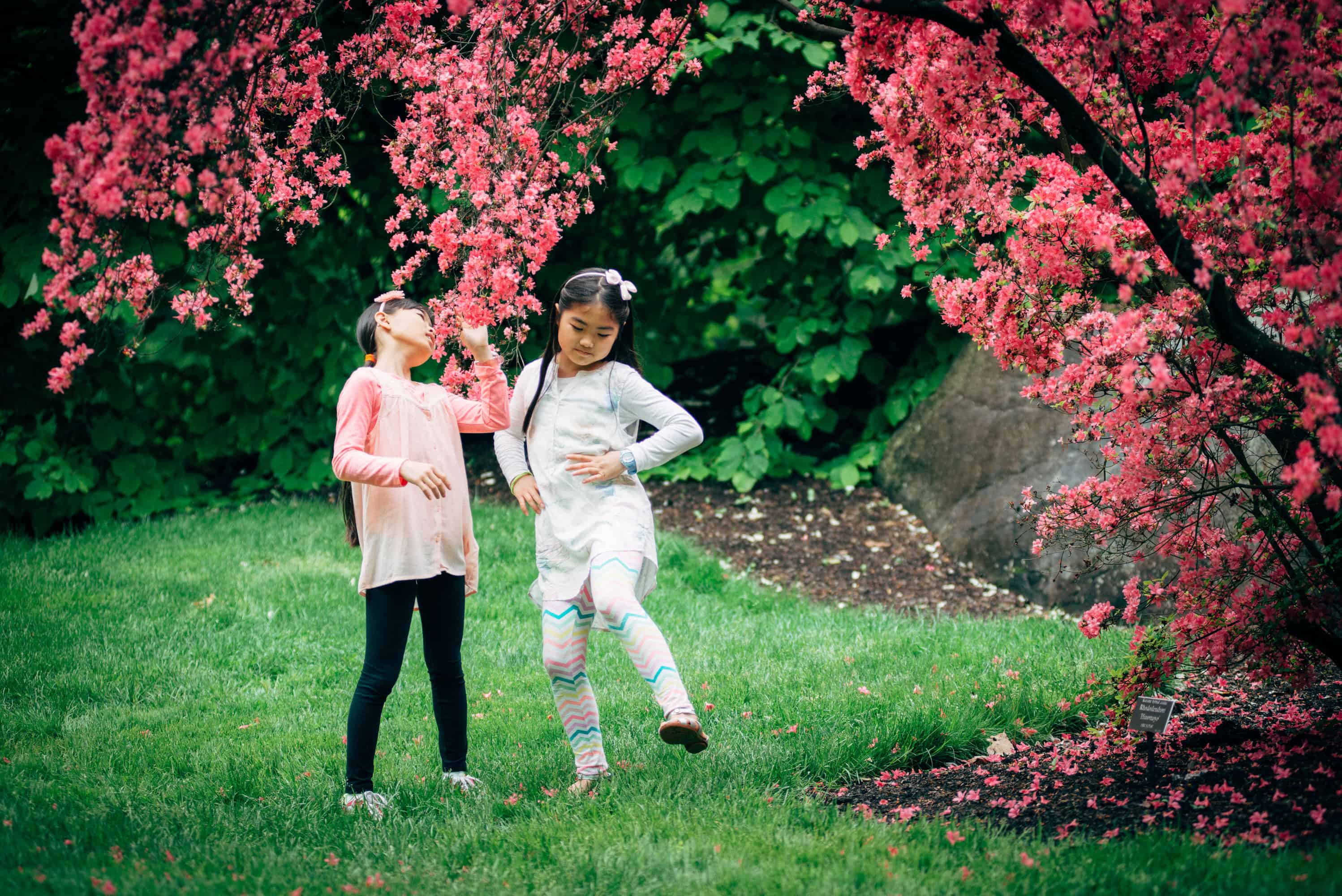 New York Botanical Garden Two little girls Dancing Under Tree