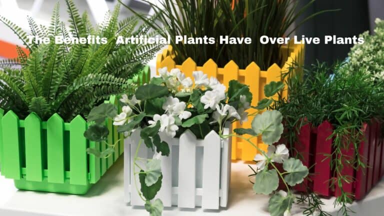 The Benefits Artificial Plants Have Over Live Plants