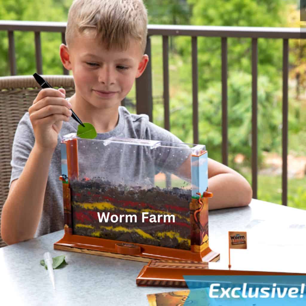 Fat Brain Toys- Worm Farm