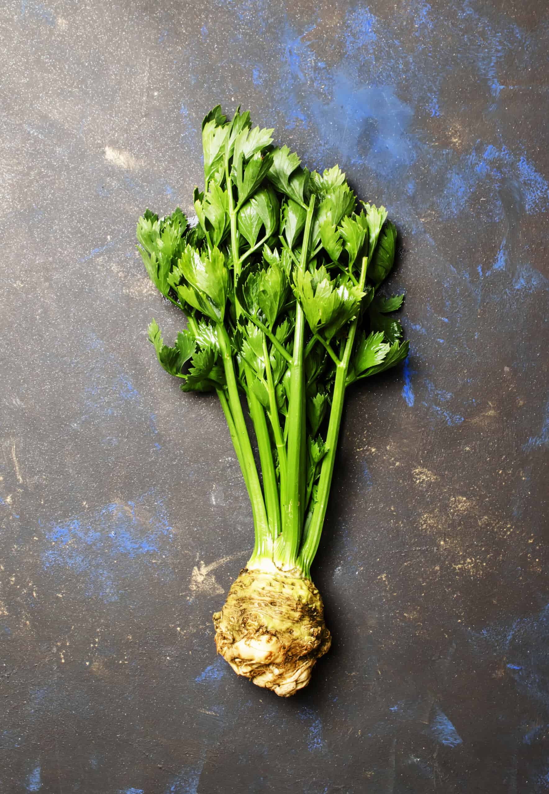 Fresh root celery with green stems, top view Fresh root celery with green stems, top view