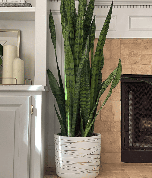 GUAIPOU 12 Inch Large Plant Pot (Matte Black) - Large Ceramic Indoor Planter Pot