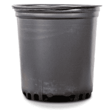 Perfect Plants-1 Gallon Plastic Plant Pots