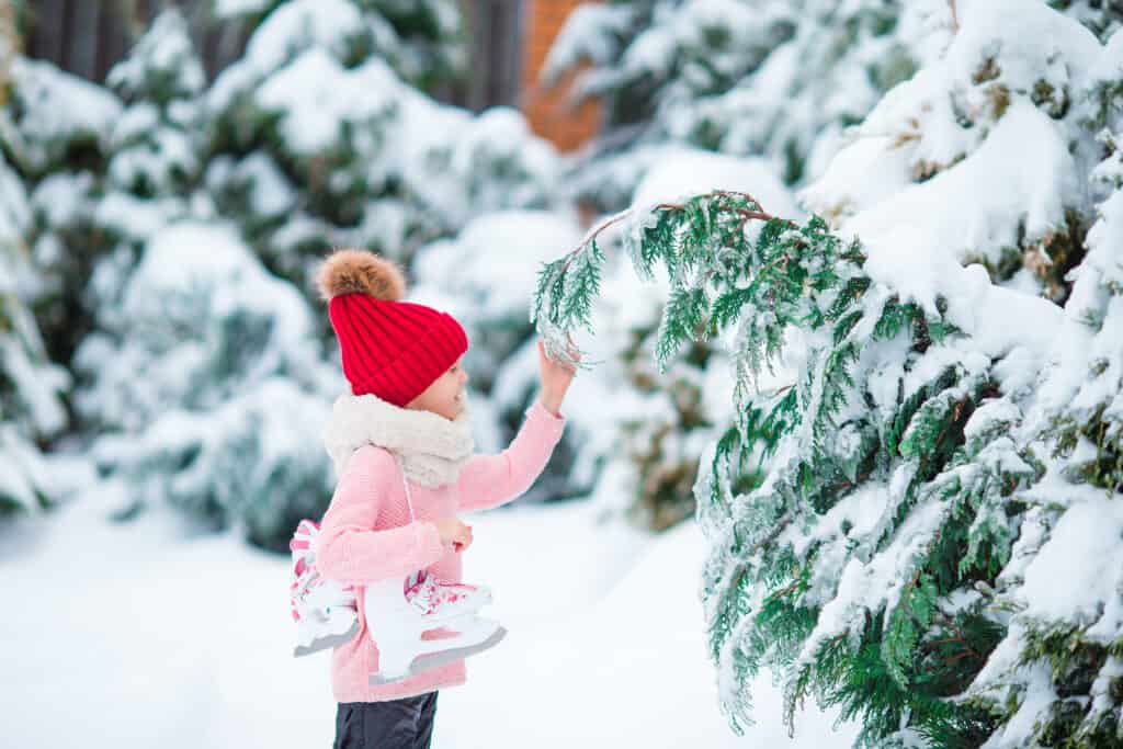 Preparing Your Houseplants For Winter Cute little kid girl is going skate outdoors.