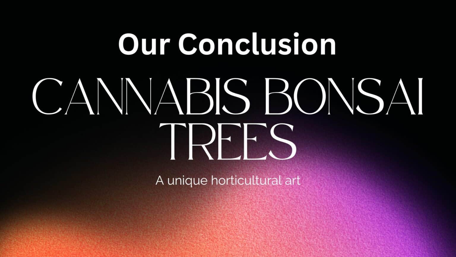 Our Conclusion: Cannabis Bonsai