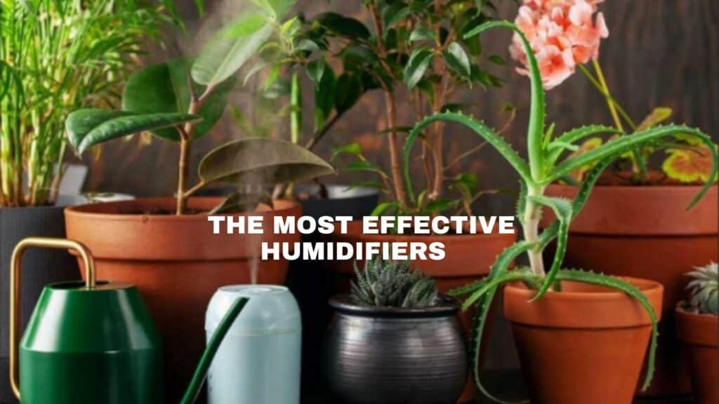 The Most Effective Humidifiers