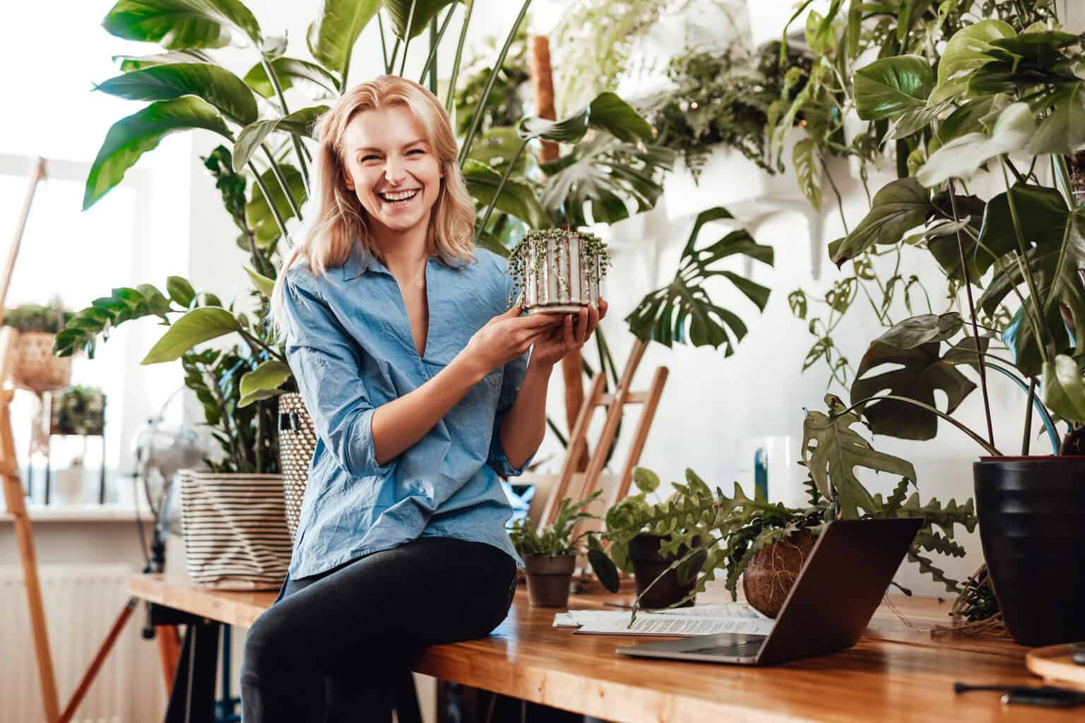 Plants for Positive Vibes: A contemporary and sunny office room furnished with houseplants. Motivated and happy businesswoman with a houseplant sitting on a table with her laptop