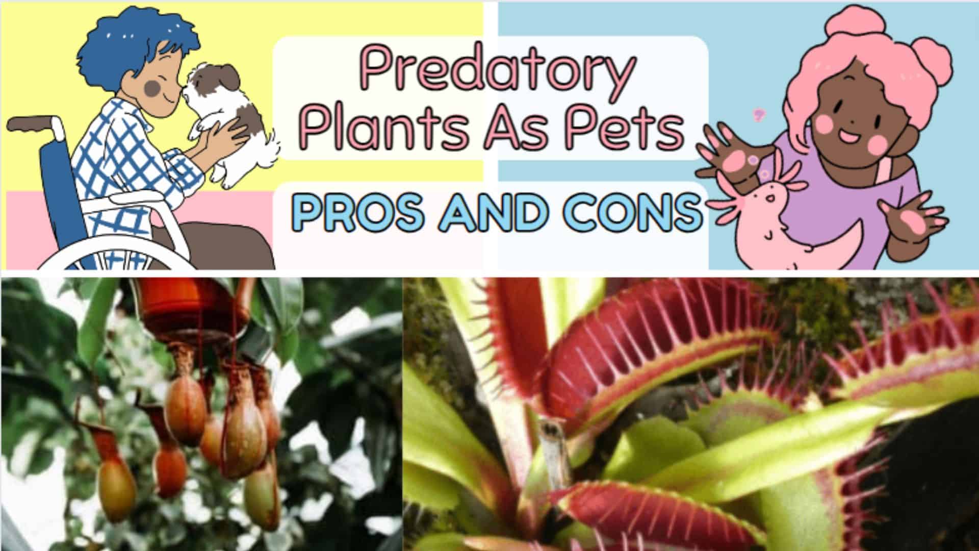 Predatory Plants As Pets-Pros And Cons