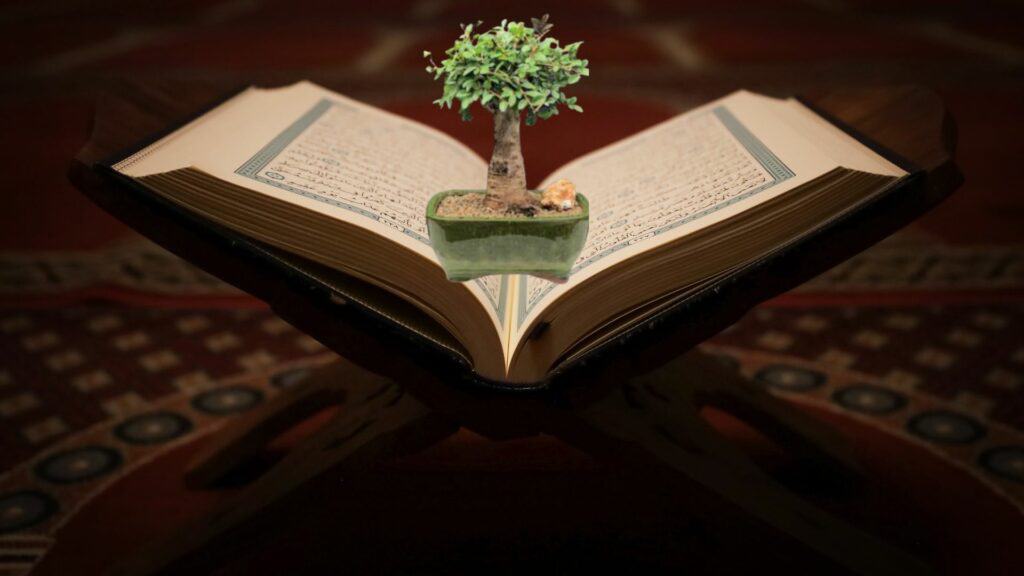 The Bonsai Book