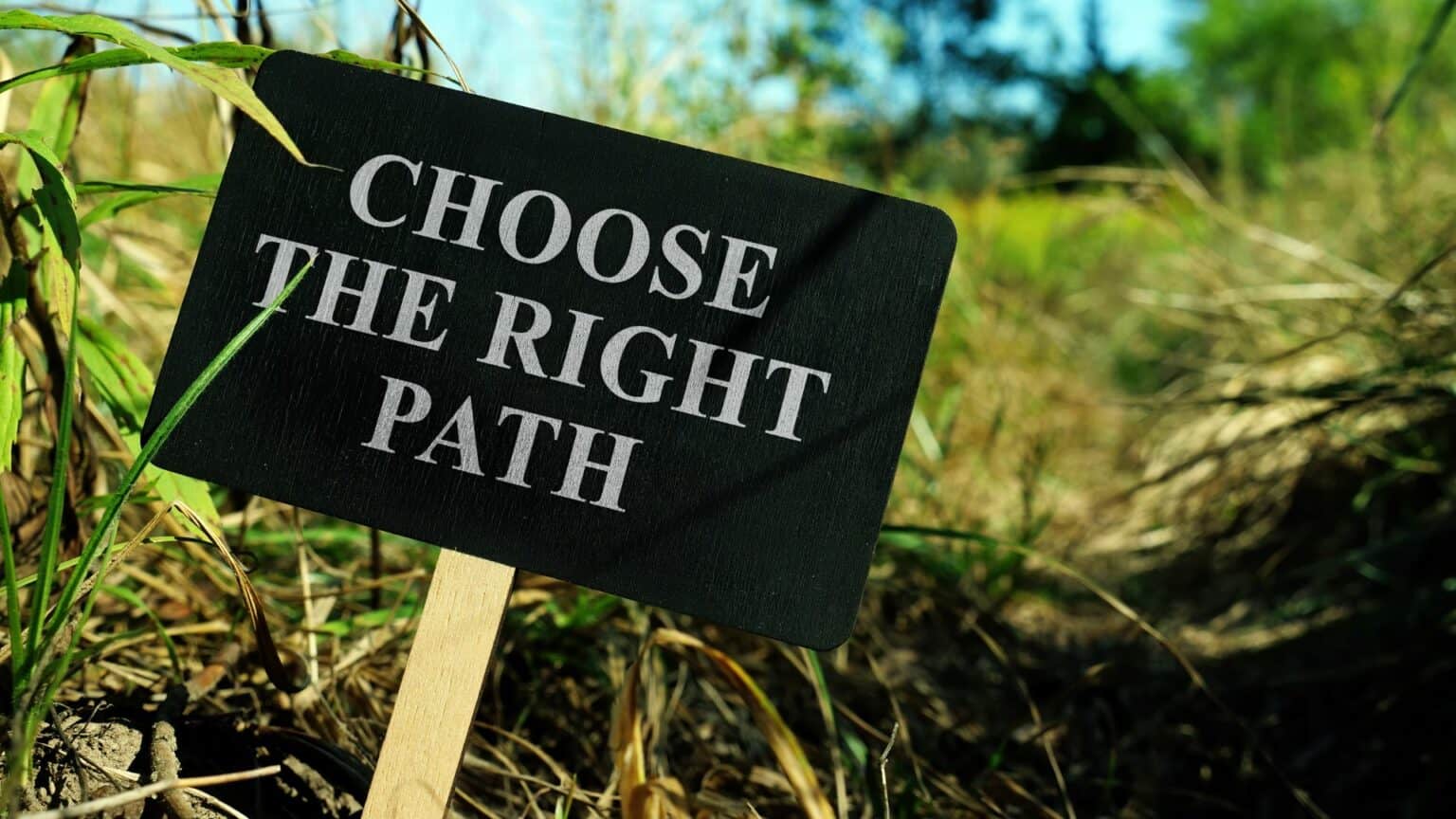 Choose The Right Path