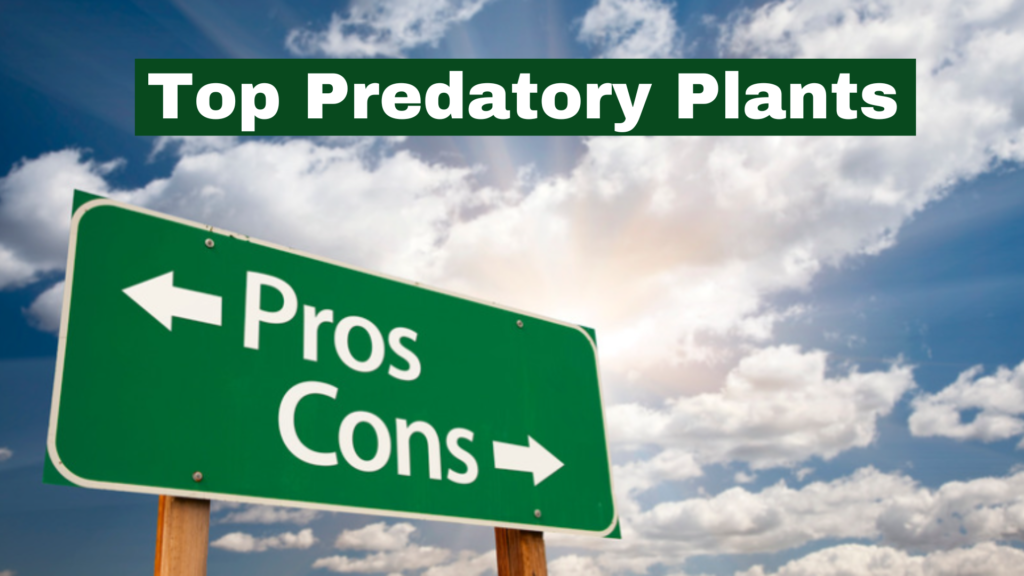 Top Predatory Plants-Hero Image