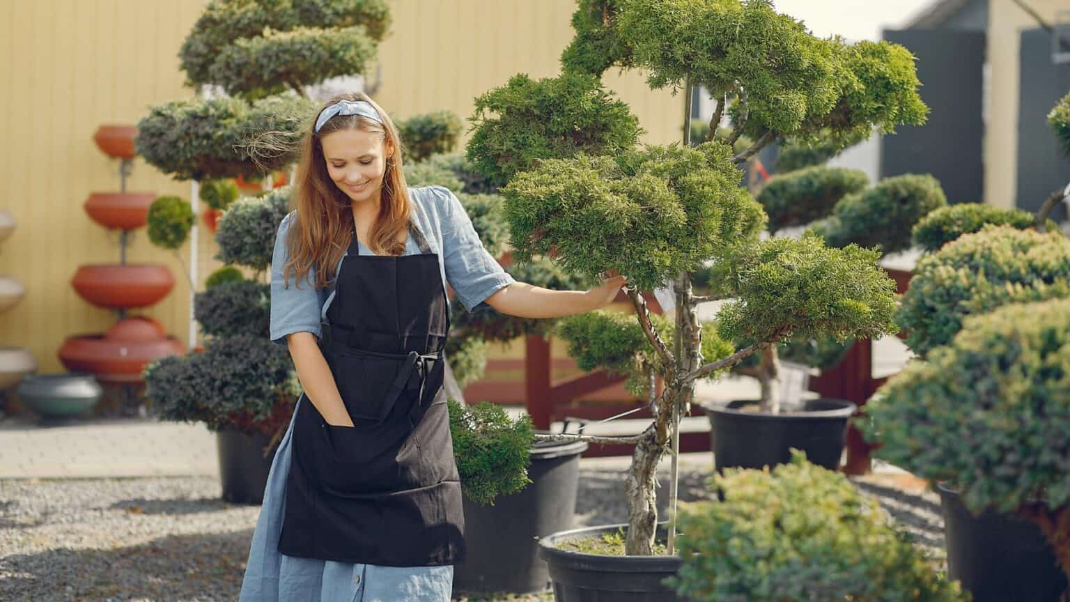 keeping bonsai trees inside is a beautiful and relaxing hobby.