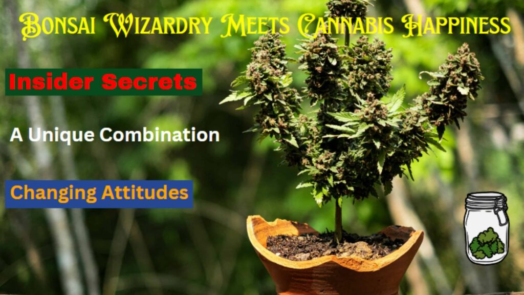 Bonsai Wizardry Meets Cannabis Happiness-Hero