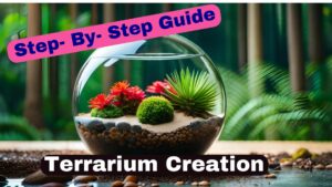 Step-By-Step Guide Terrarium- Hero