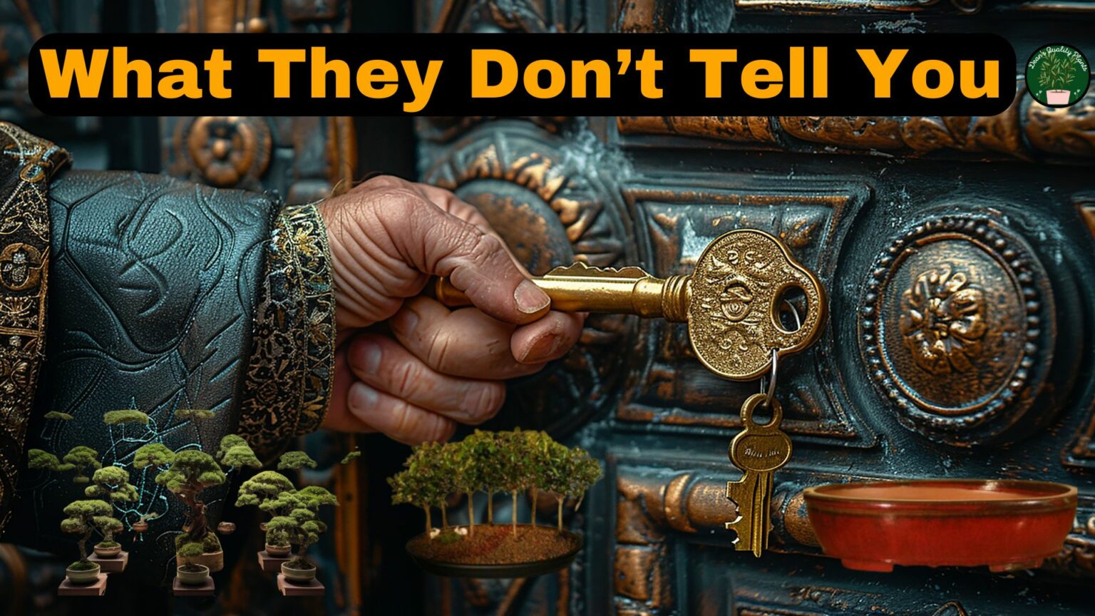 What They Don't Tell You - Unlocking The Secrets Of Bonsai