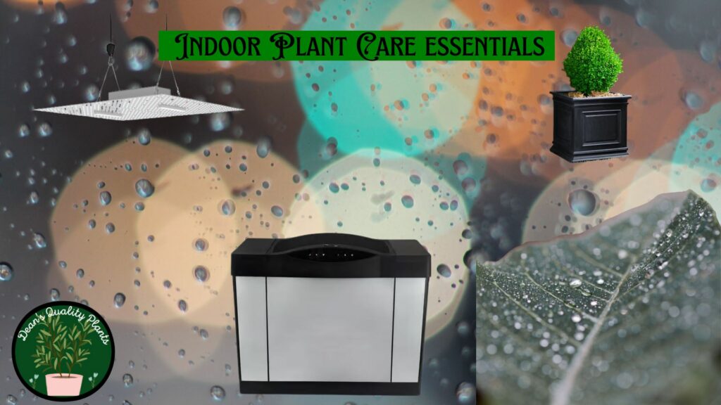 Best 3 Indoor Plant Care Products: Humidifier-LED Light, Self-Watering Pots