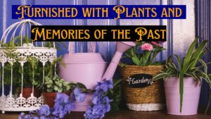 Plants And Nostalgia Decor