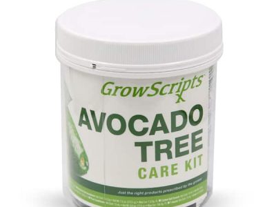 AvocadoTreeCareKit