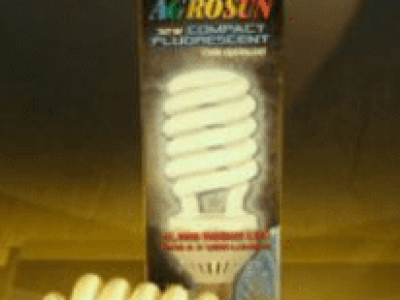 GROW BULB COMPACT FLUORESCENT 32/WATT 150WATT EQUIVALENT