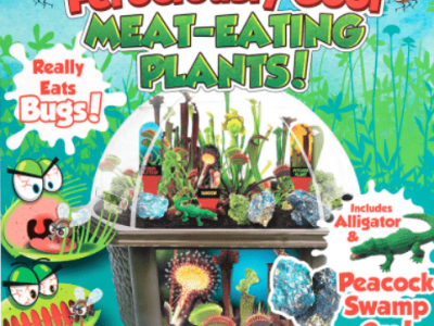 Ferociously-Cool-Meat-Eating-Plants-Best-for-Age