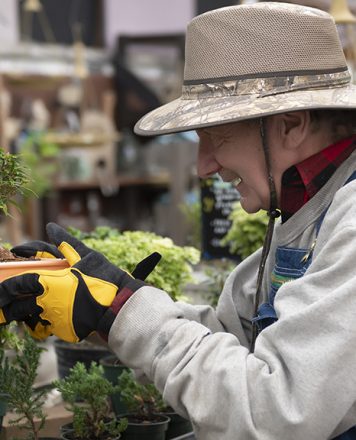 Me Looking At Bonsai- GreenHouse