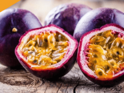 Purple Possum Passion Fruit Vine