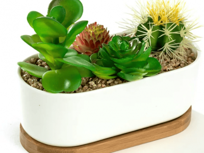 White Oval 6.8_ Ceramic Succulent Planter