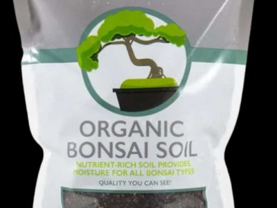 Organic Bonsai Soil