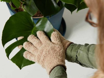 Microfiber Dusting Glove